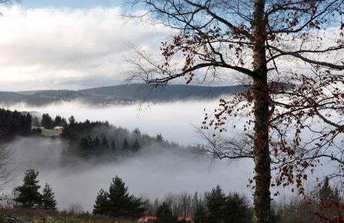 Gîte confortable avec vue imprenable près de Saint-Étienne - FR-1-496-38 - Foto 25