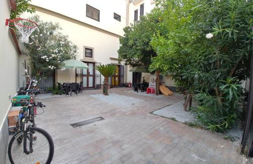 Asso Di Coppa - Foto 1