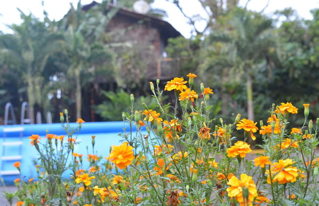 Las Cabanas - Foto 70