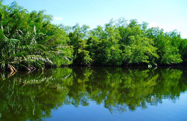 Safari sur le fleuve - Photo 3