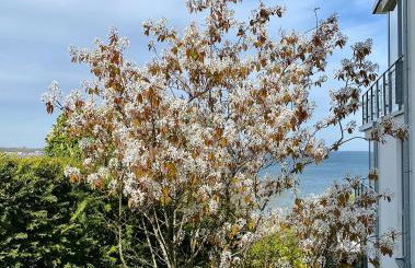 Triton Suite - Foto 5