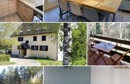 Un séjour ressourçant en Alsace entre vignes et montagnes l'Escapade Barochaise à 20mn de Colmar - Foto 7