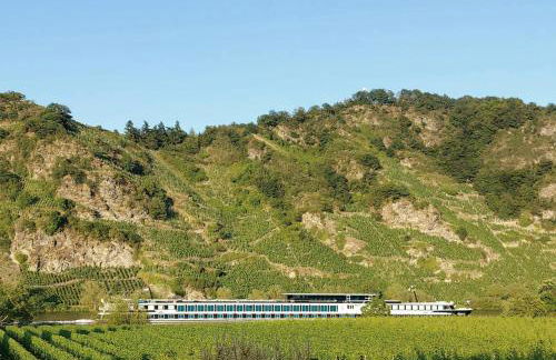 Ferienwohnung mit Blick auf die Moselloreley - Foto 1