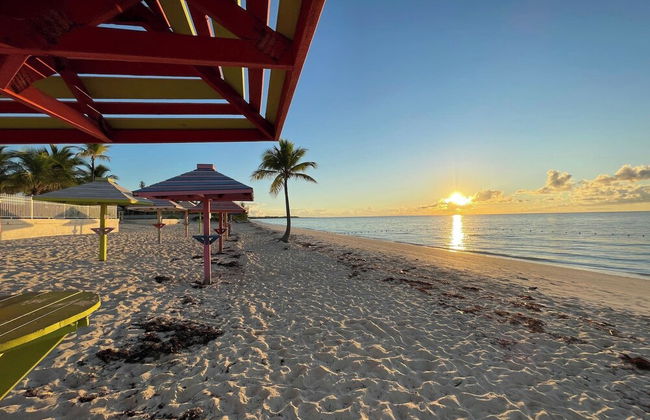 NEW Stunning Beachfront Condo at the Coral Beach - Foto 48