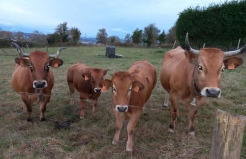 Casa con finca en Oviedo El Casero - Foto 23