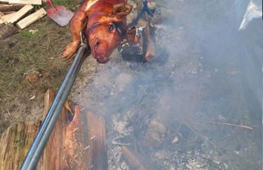 Weich wie Samt am Bodensee - Foto 22