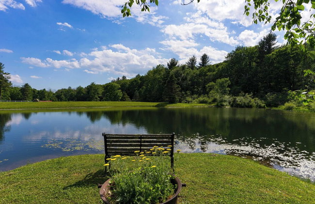 Secluded Estate Optional Guest House, Pond, Playroom, Gym & Theater Sunny Pond by Avantstay - Foto 40