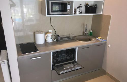 Apartamenty Pod Łysicą & SPA - przy stoku, basen, jacuzzi, sauna - Foto 87