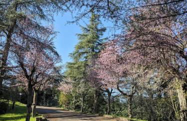 Le Stagioni del Parco - Foto 50