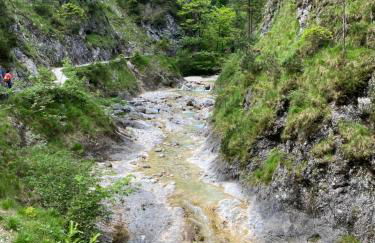 Salinenblick - Foto 44