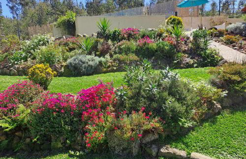 Cedrim Hillside - Foto 49