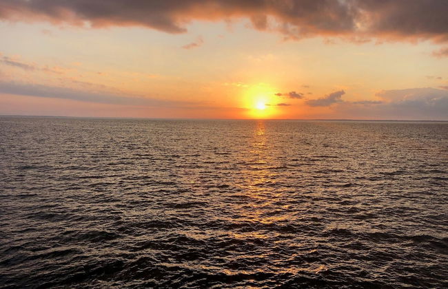 Historic Aragon Executive Apartment - Foto 14