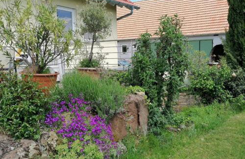 Ferienwohnung Wadle - Foto 11