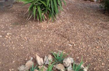 Apartments Elvira - Foto 52