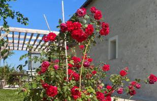 La Huberdière - Foto 54