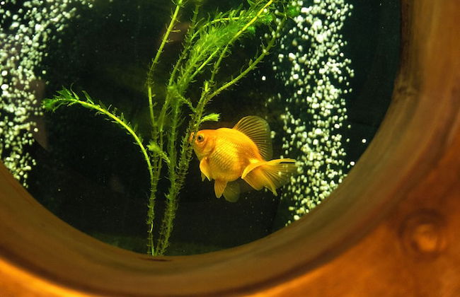 Filiberto By iPPA - Foto 13