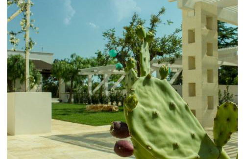 Marinelli Guest House - Foto 73