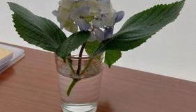 MAR NEST Lodging - New & cosy house for 2, fully equiped & sea view - Photo 4