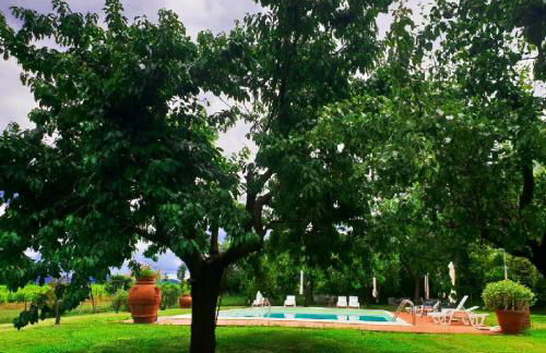 Agriturismo Il Sole Verde - Foto 28