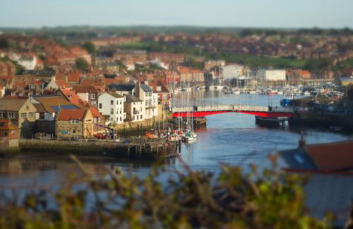 The Yorkshireman - Foto 19