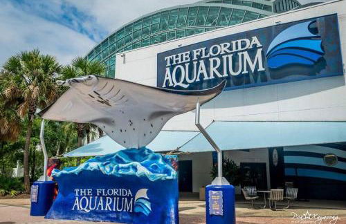 Green house - Foto 27