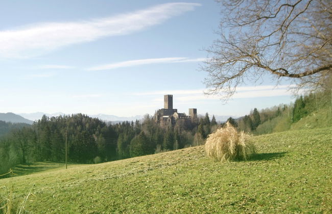 Holiday Home in Liebenfels in Carinthia With Sauna - Foto 16