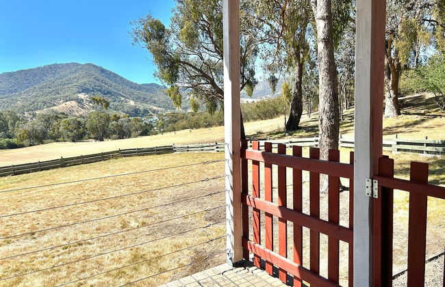 The Black Sparrow - Photo 43