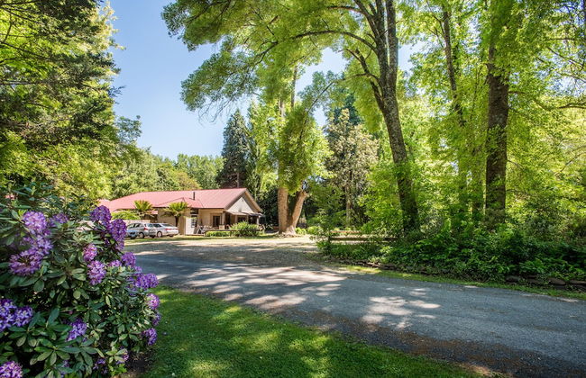 Avalon House - Foto 1