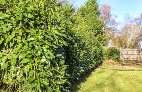 Golford Cottage - Foto 72