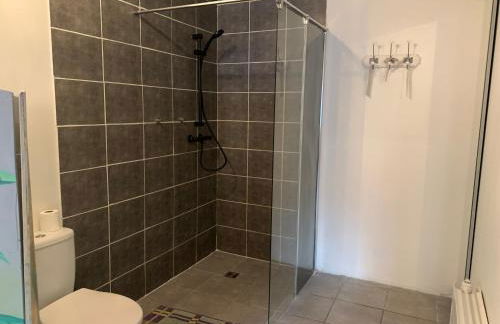 Chambre-Studio en rez-de-jardin - Foto 4