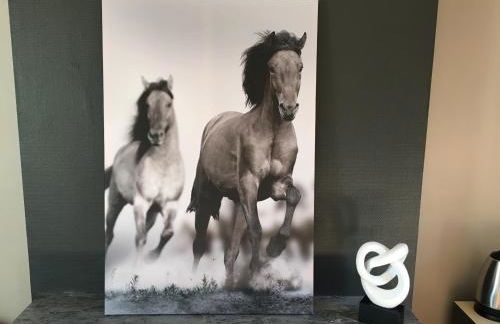 Les Orchidées - Foto 50