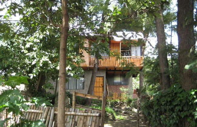 Tzikin Jaay - Foto 29