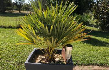 Petite Maison de campagne dépaysante - Foto 6