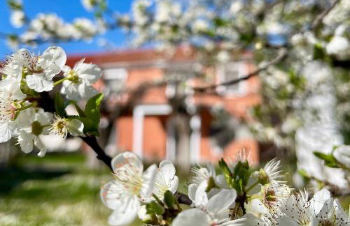 Casa Delicosta- 2 Flat Country house with garden, 15 min from Trikala - Foto 42