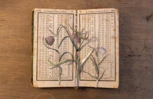 Missy's House in the Woods - Foto 47