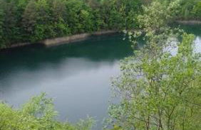 Apartamenty Pod Debem (Ferienwohnungen an der uralten Eiche) - Foto 18