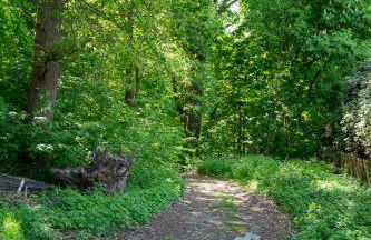 Hof Bahrenwinkel - Foto 27