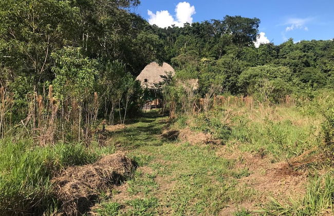 Ayahuaska - Photo 40