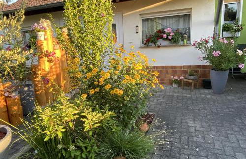 Haus Steffine - Foto 14