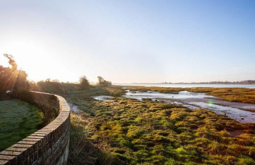 Snow Goose - Foto 19