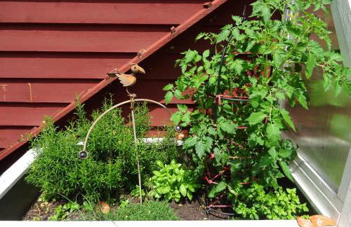 Fewo Lindenstrasse - Foto 30