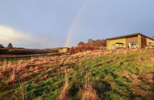 Pine Marten - Foto 41