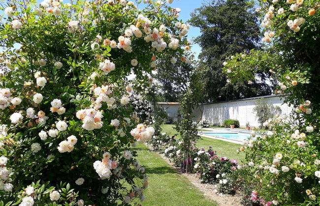 Chateau de Janville - Foto 20