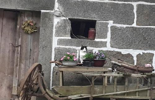 Landurlaub bei Familie Haug - Foto 21