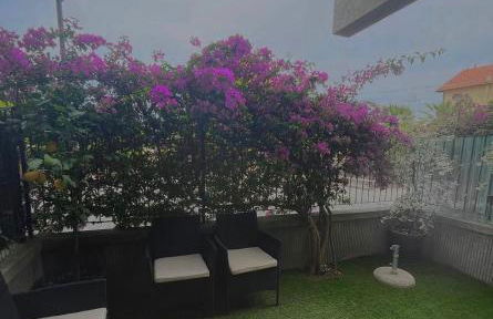 Casa OHANA CERIALE OPEN SPACE 4 PERSONE - Foto 13