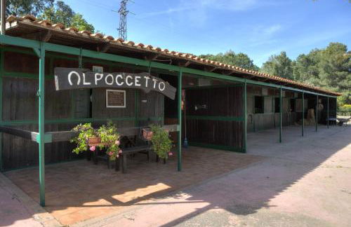 Agriturismo Al Poggetto - Foto 24