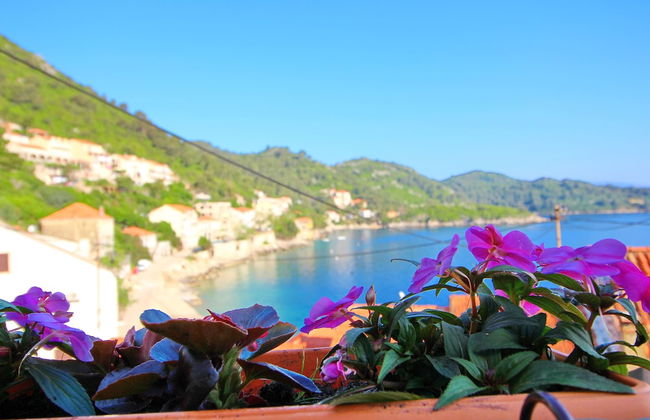 Apartment Mambo, Mljet - Foto 24