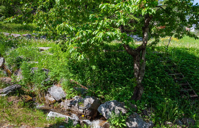 Chalet Arvine - Foto 44