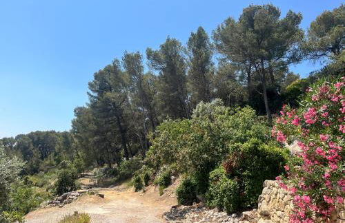 Aix-en-Provence, Bastidon provençal plein cœur de la forêt avec vue unique - Foto 73