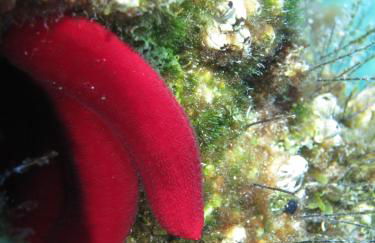 Casa Costanza - Foto 27